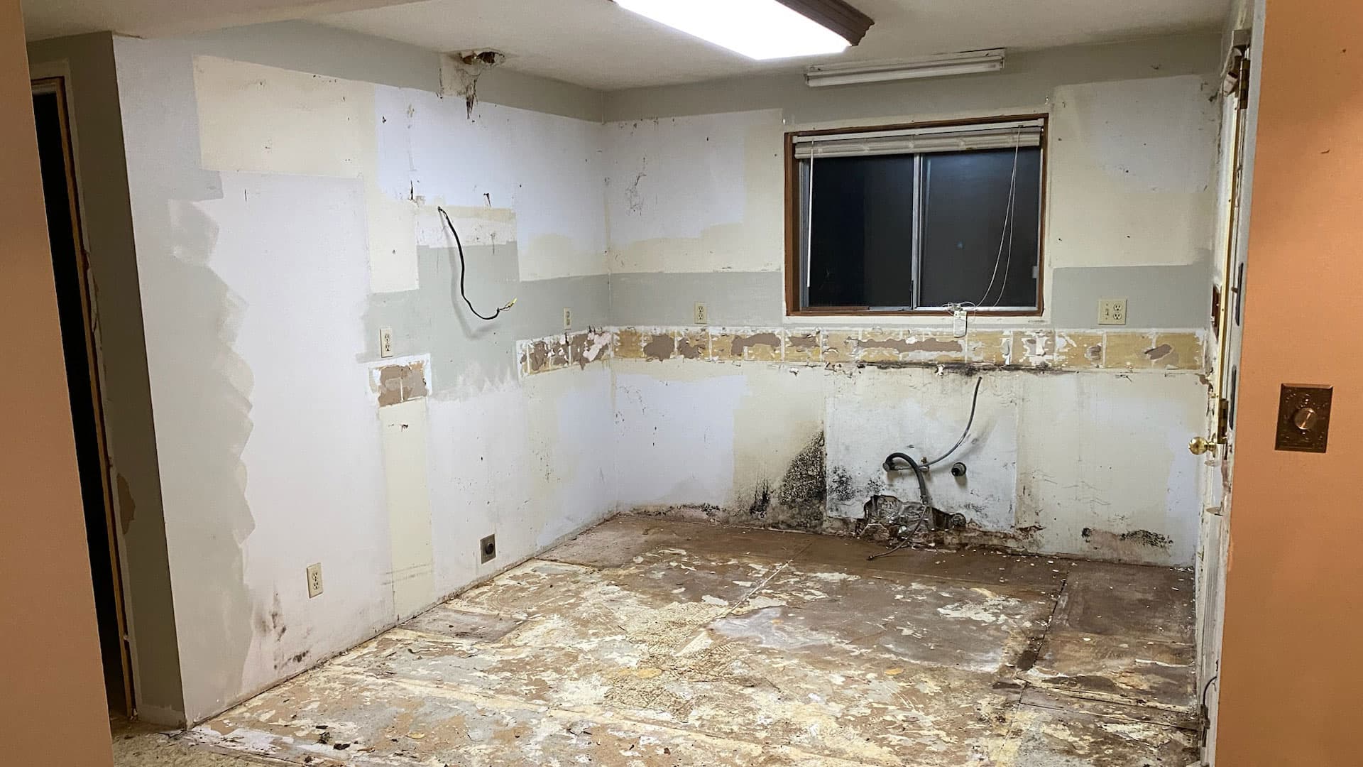 Mold Damaged Kitchen Before